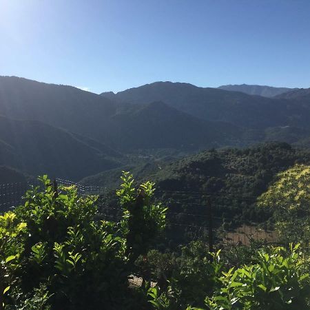 Gite , Maison De Vacances Avec Exterieur Et Terrasse Fleurie Meuble Tourisme 3 Etoiles Villa Santa-Lucia-di-Tallano Kültér fotó