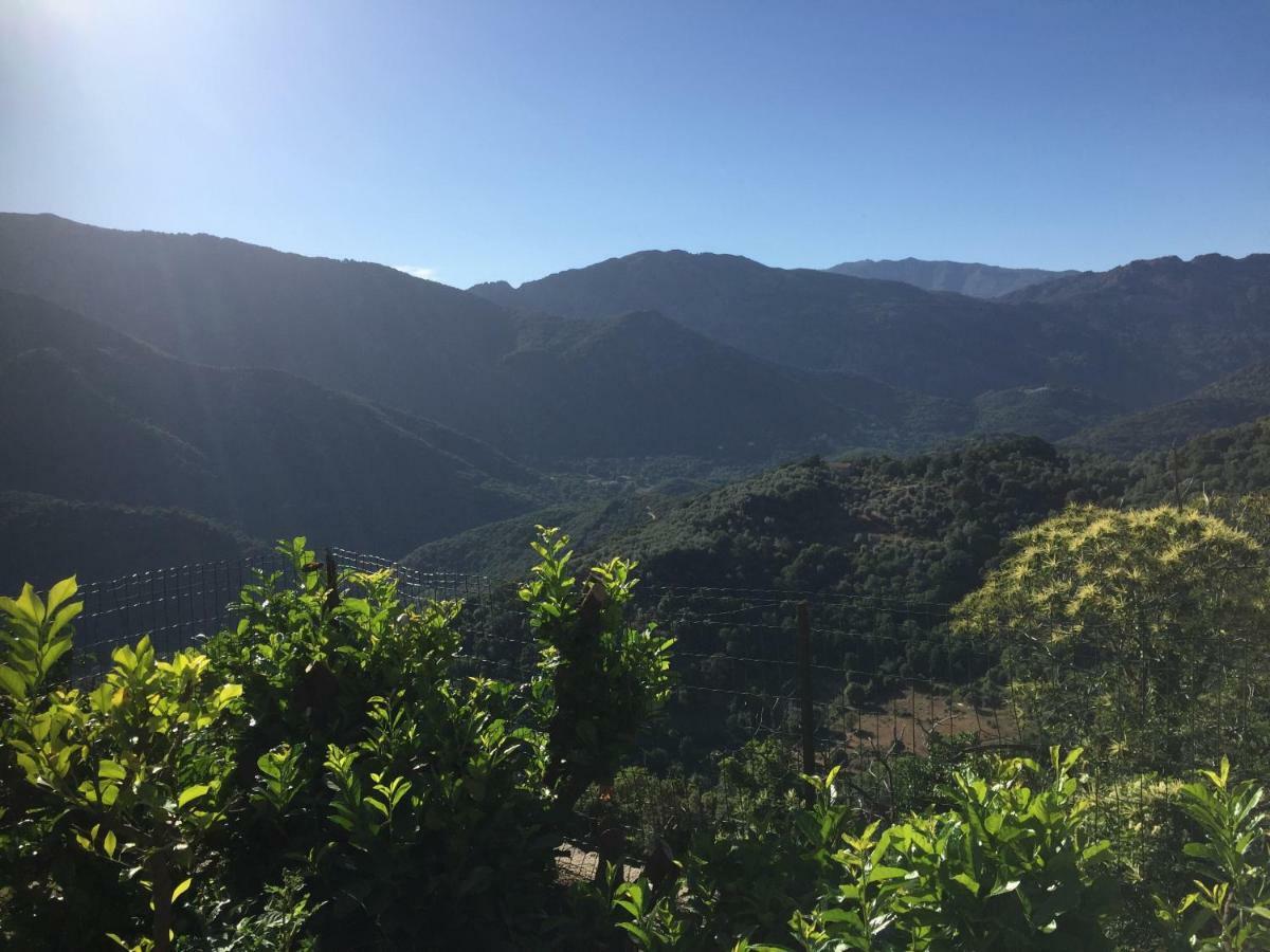 Gite , Maison De Vacances Avec Exterieur Et Terrasse Fleurie Meuble Tourisme 3 Etoiles Villa Santa-Lucia-di-Tallano Kültér fotó